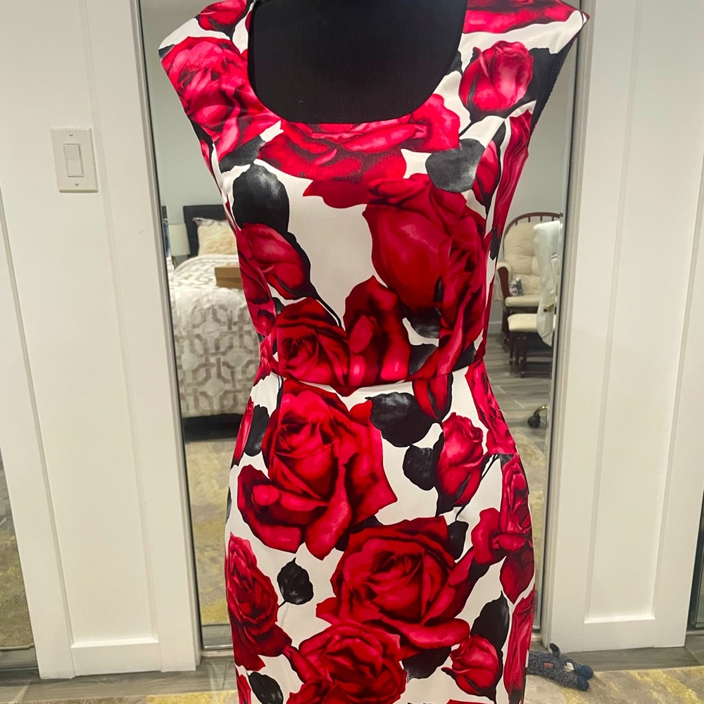 Absolutely stunning cocktail dress. More beautiful in person size 0.
